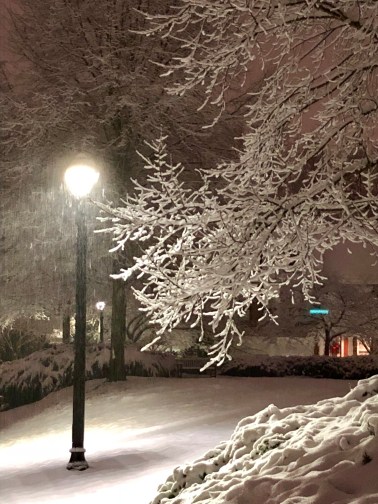 DB4407C4-FA59-4310-A072-9116FB37FCE0